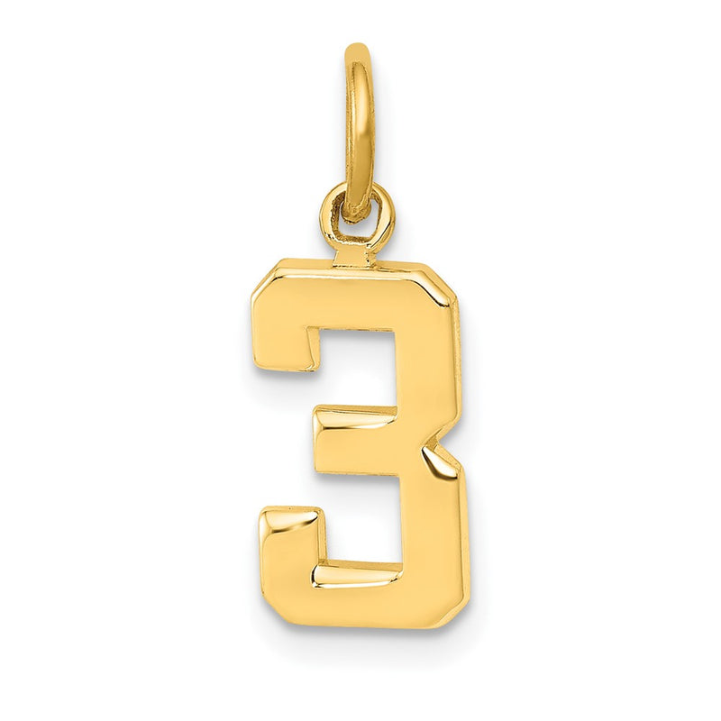 10K Yellow Gold Small Polished Number 3 Charm