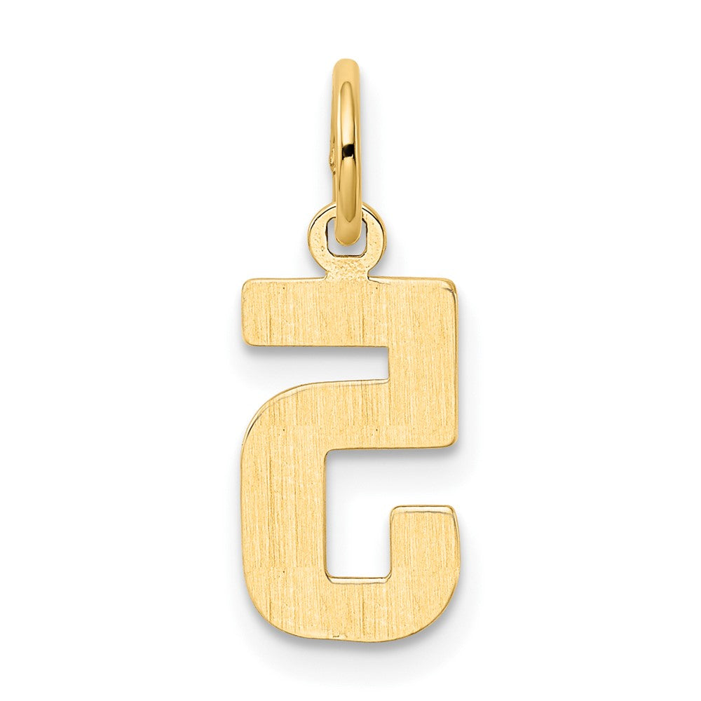 10K Yellow Gold Small Polished Number 5 Charm