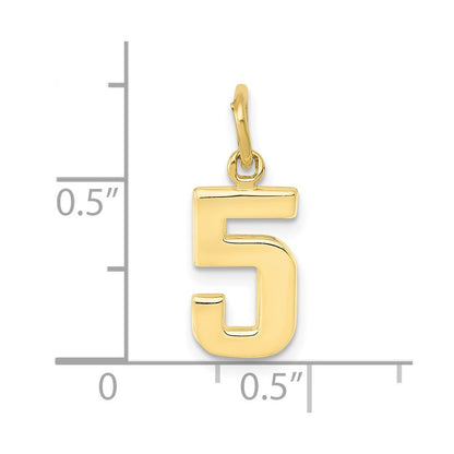 10K Yellow Gold Small Polished Number 5 Charm