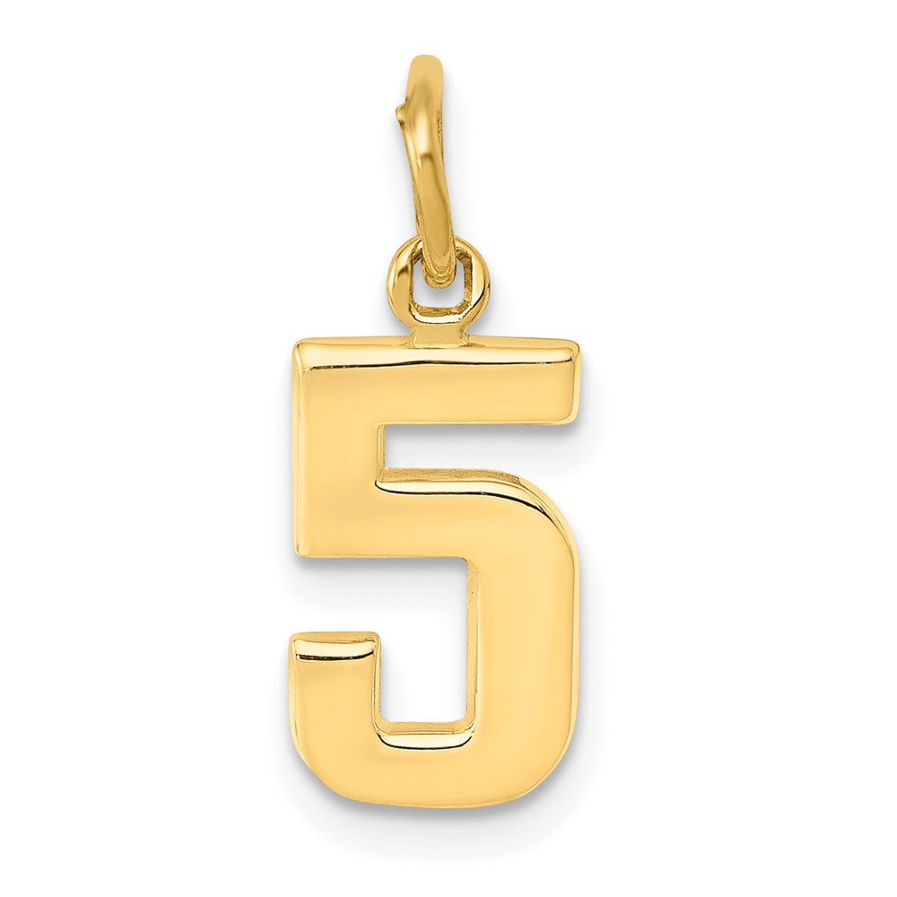 10K Yellow Gold Small Polished Number 5 Charm