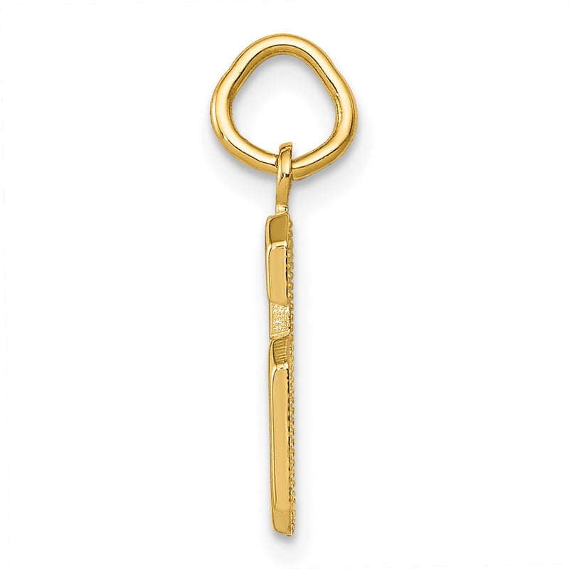 10K Yellow Gold Small Polished Number 6 Charm