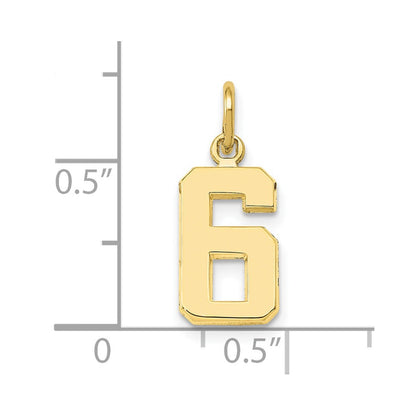 10K Yellow Gold Small Polished Number 6 Charm