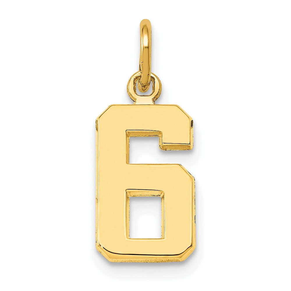 10K Yellow Gold Small Polished Number 6 Charm