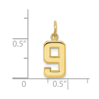 10K Yellow Gold Small Polished Number 9 Charm