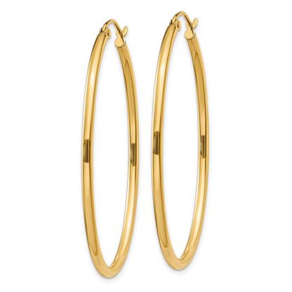10K Yellow Gold Oval Polished Hoop Earring