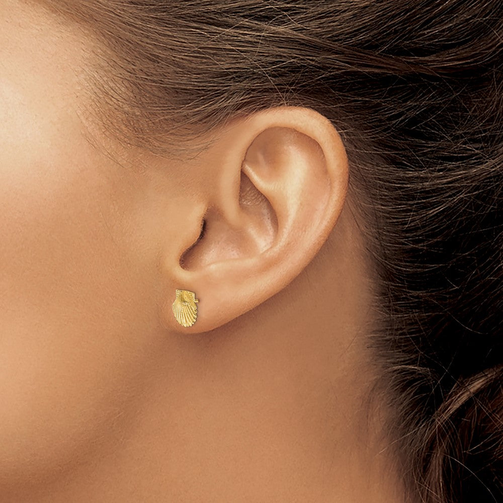 10K Yellow Gold Scallop Shell Post Earrings