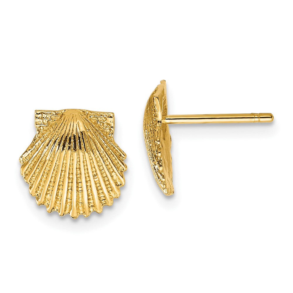 10K Yellow Gold Scallop Shell Post Earrings