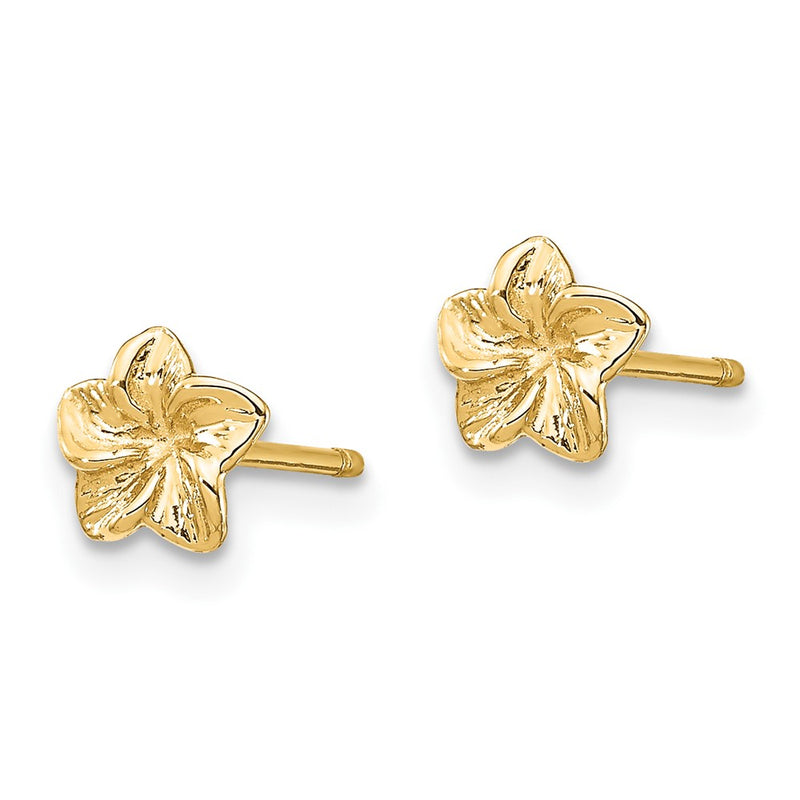 10K Yellow Gold 10K Plumeria Flower Post Earrings