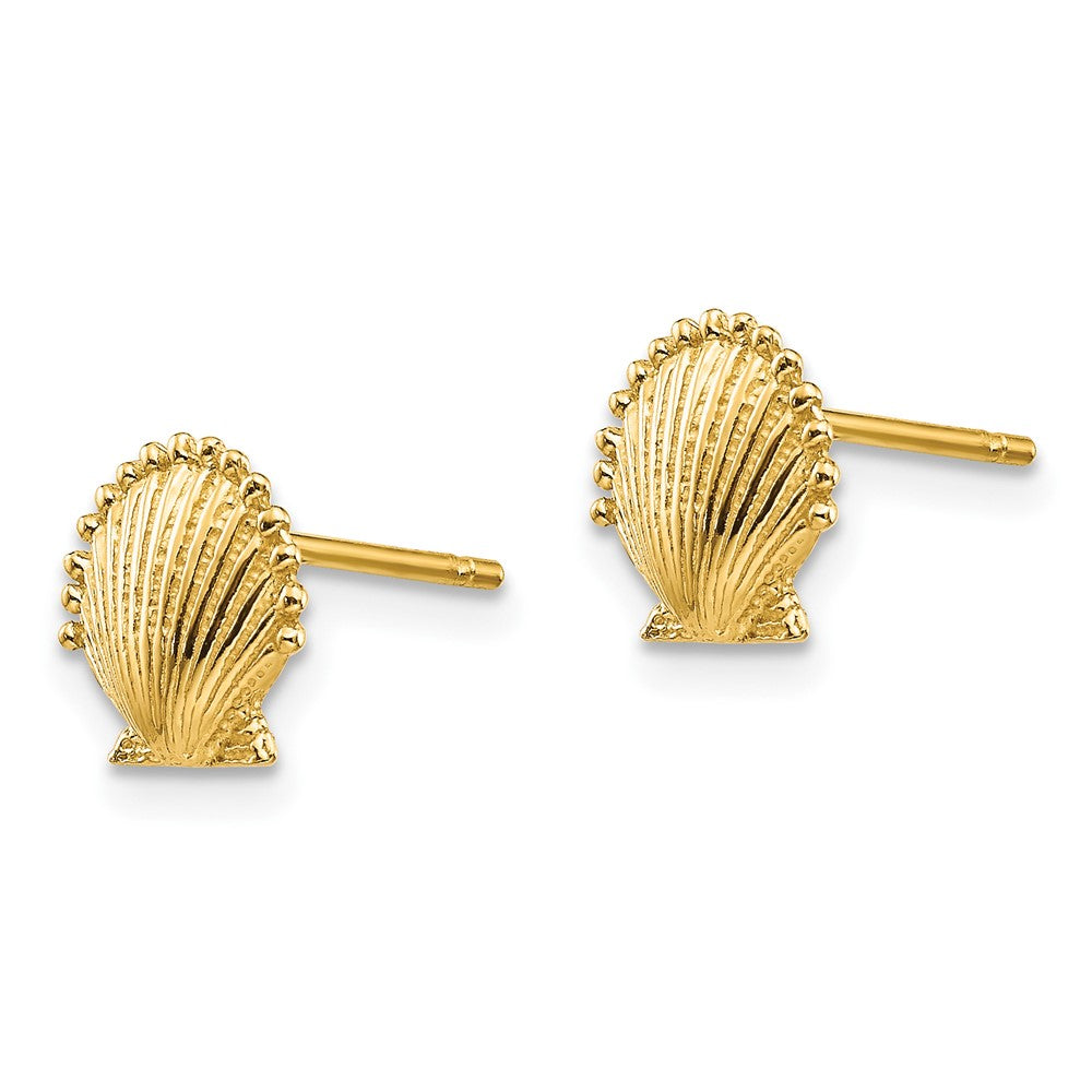 10K Yellow Gold 10K Scallop Shell Post Earrings