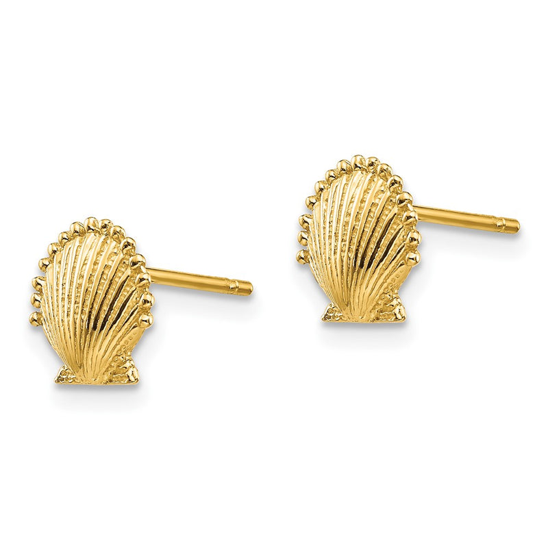 10K Yellow Gold 10K Scallop Shell Post Earrings