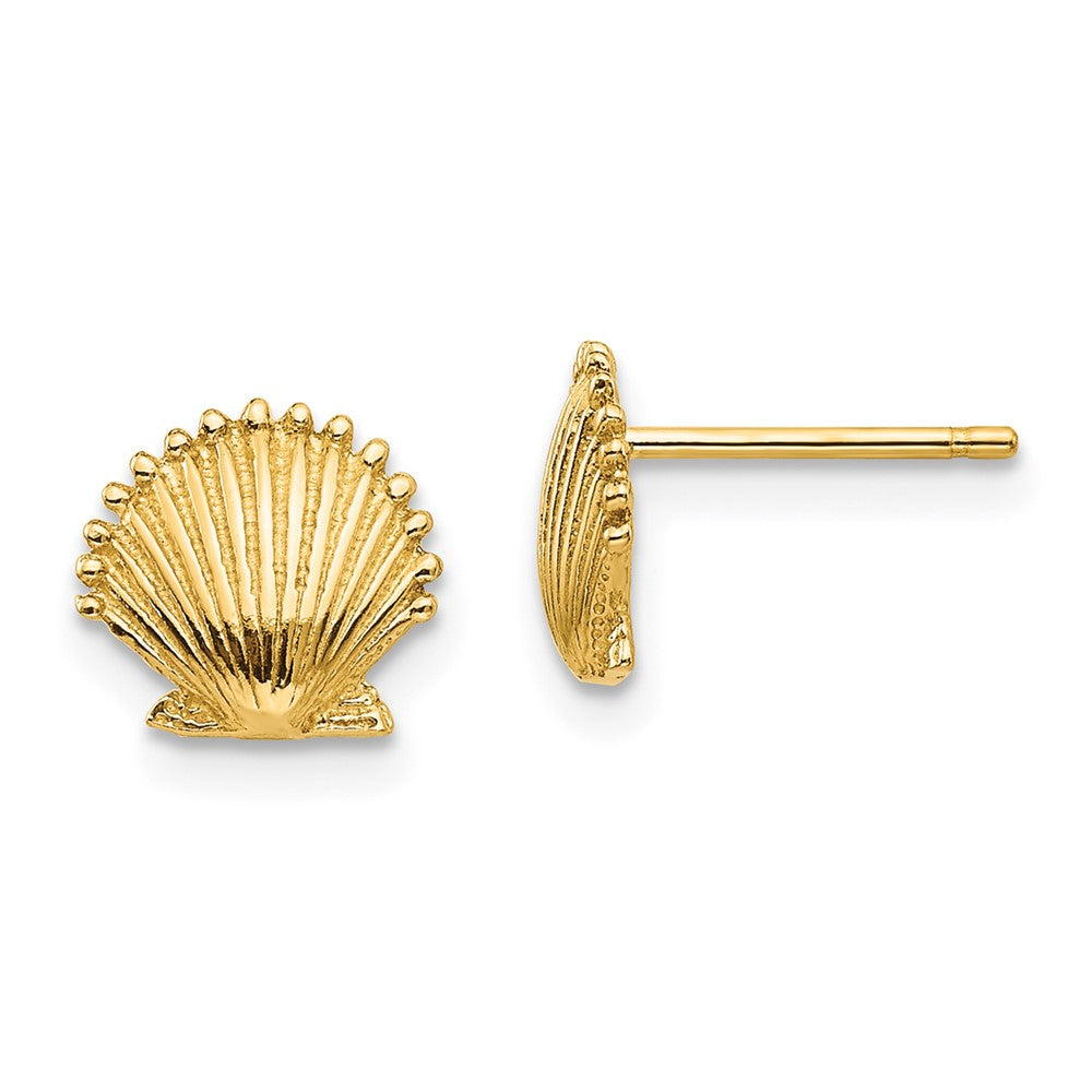 10K Yellow Gold 10K Scallop Shell Post Earrings