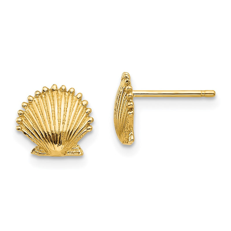 10K Yellow Gold 10K Scallop Shell Post Earrings