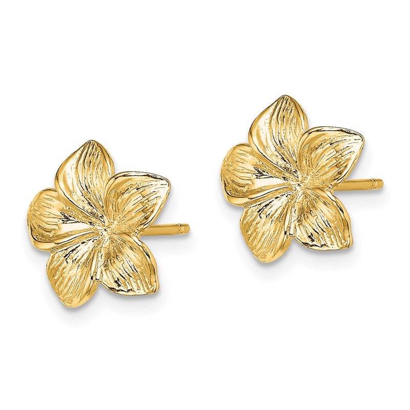 10K Yellow Gold 10K Plumeria Flower Post Earrings