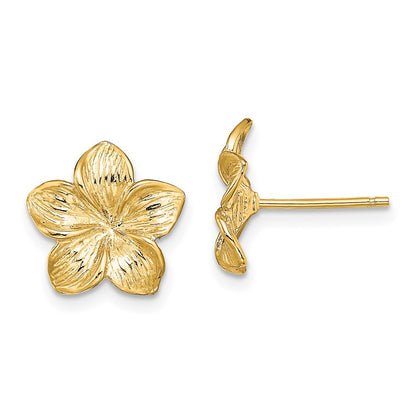 10K Yellow Gold 10K Plumeria Flower Post Earrings