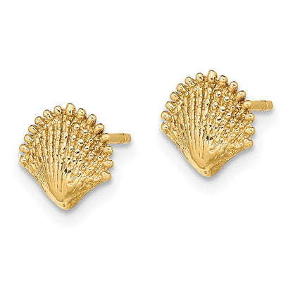 10K Yellow Gold 10K Scallop Shell Post Earrings