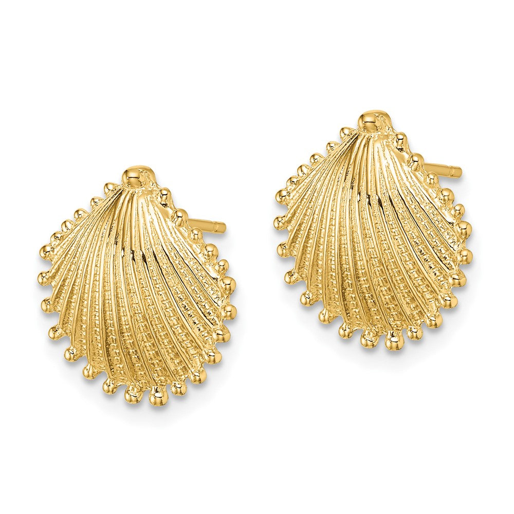10K Yellow Gold 10K Scallop Shell Post Earrings