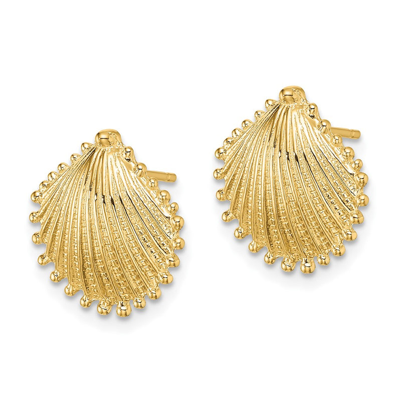 10K Yellow Gold 10K Scallop Shell Post Earrings