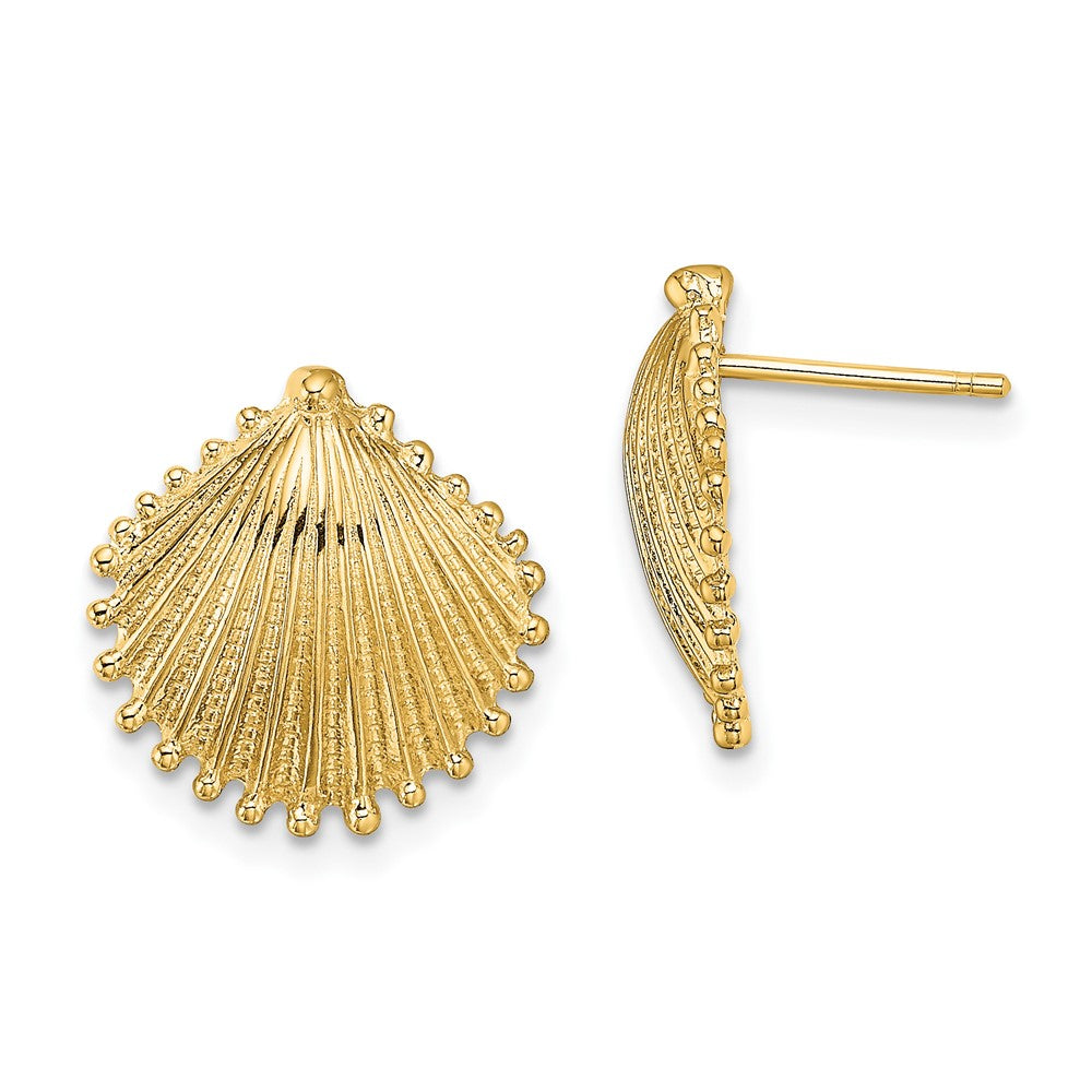 10K Yellow Gold 10K Scallop Shell Post Earrings