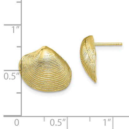 10K Yellow Gold 10K Clam Shell Post Earrings
