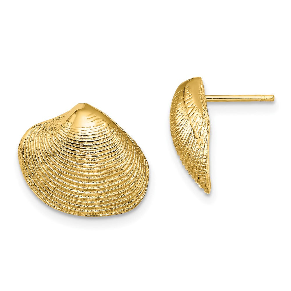 10K Yellow Gold 10K Clam Shell Post Earrings