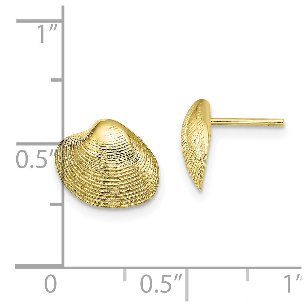 10K Yellow Gold 10K Clam Shell Post Earrings