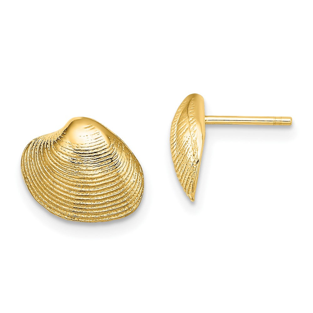 10K Yellow Gold 10K Clam Shell Post Earrings