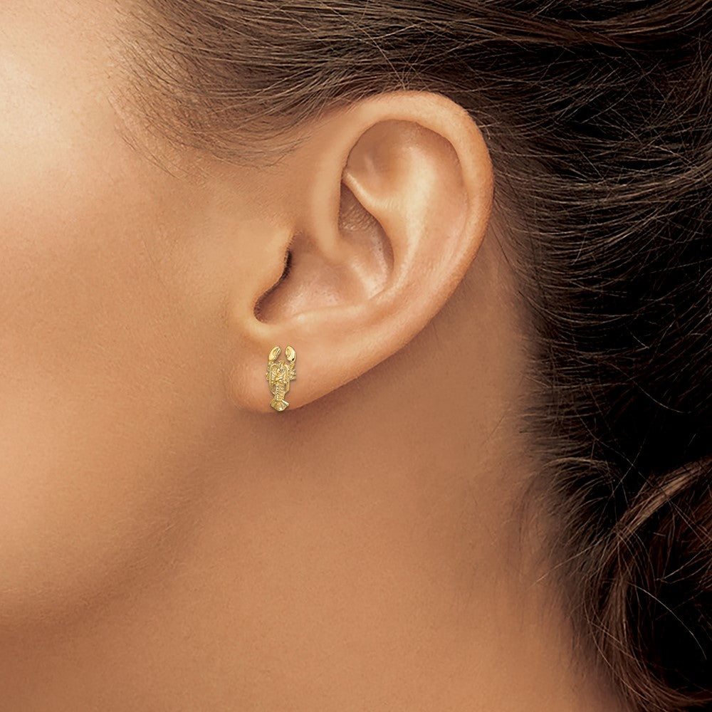 10K Yellow Gold 10K 2-D Lobster Post Earrings