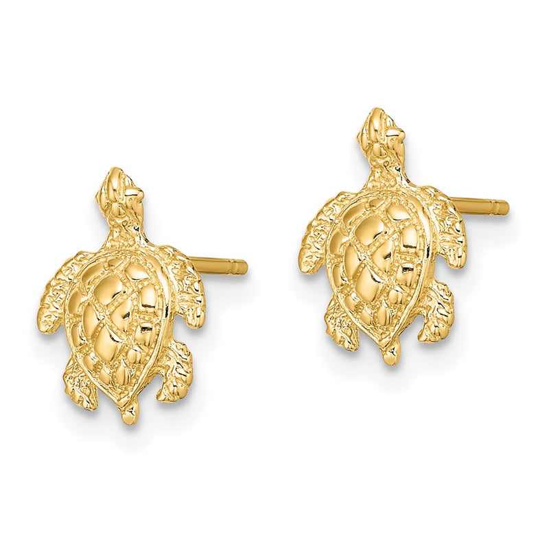 10K Yellow Gold 10K 2-D Textured Sea Turtle Post Earrings