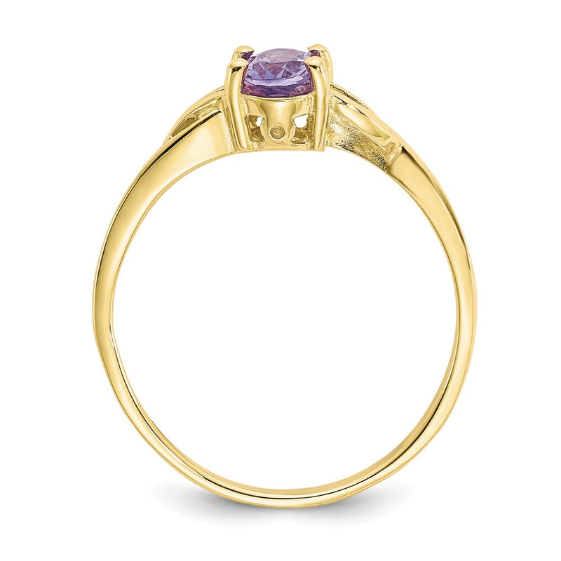 10K Yellow Gold Polished Genuine Amethyst Birthstone Ring
