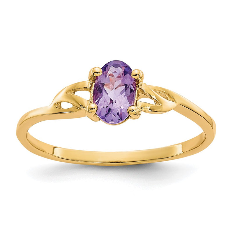 10K Yellow Gold Polished Genuine Amethyst Birthstone Ring