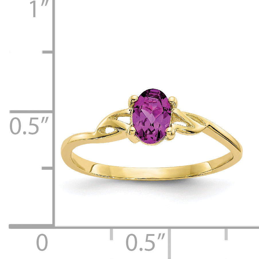 10K Yellow Gold Polished Genuine Rhodolite Garnet Birthstone Ring