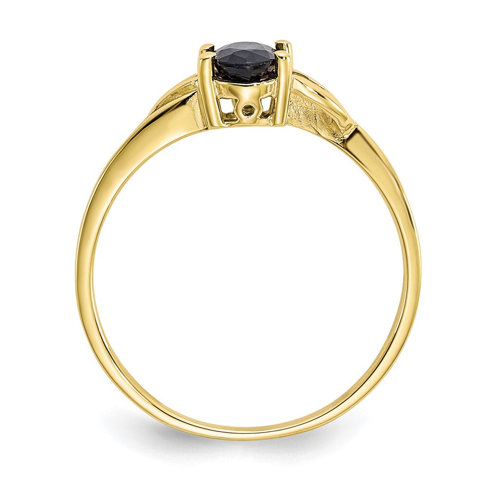 10K Yellow Gold Polished Genuine Sapphire Birthstone Ring