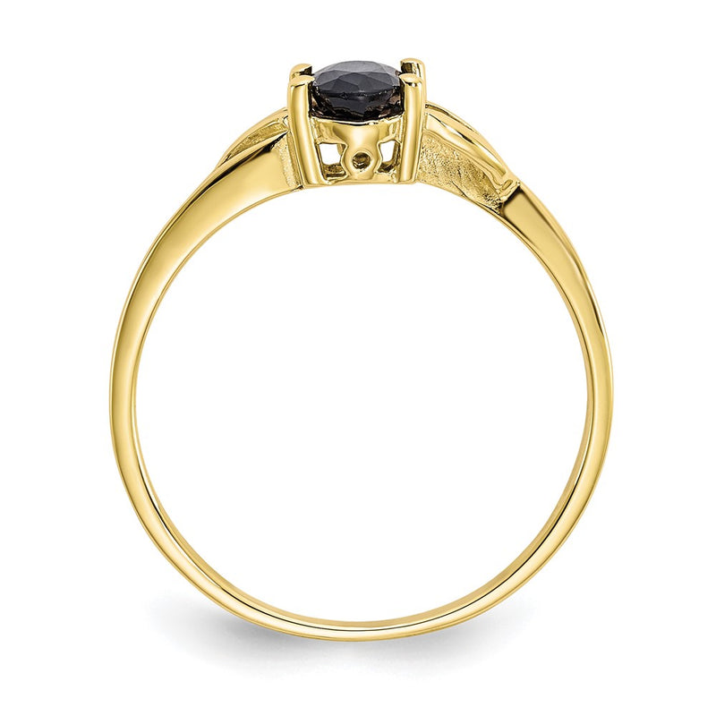 10K Yellow Gold Polished Genuine Sapphire Birthstone Ring