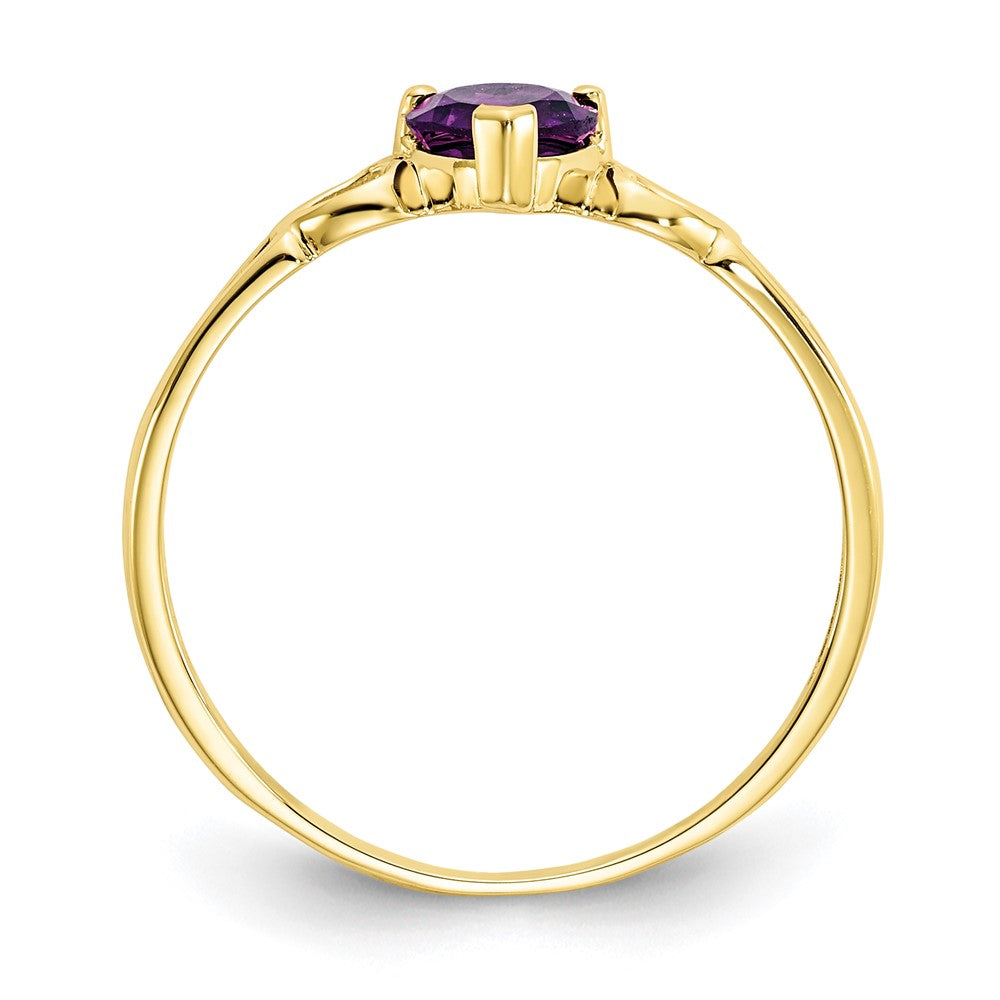 10K Yellow Gold Polished Genuine Amethyst Birthstone Ring