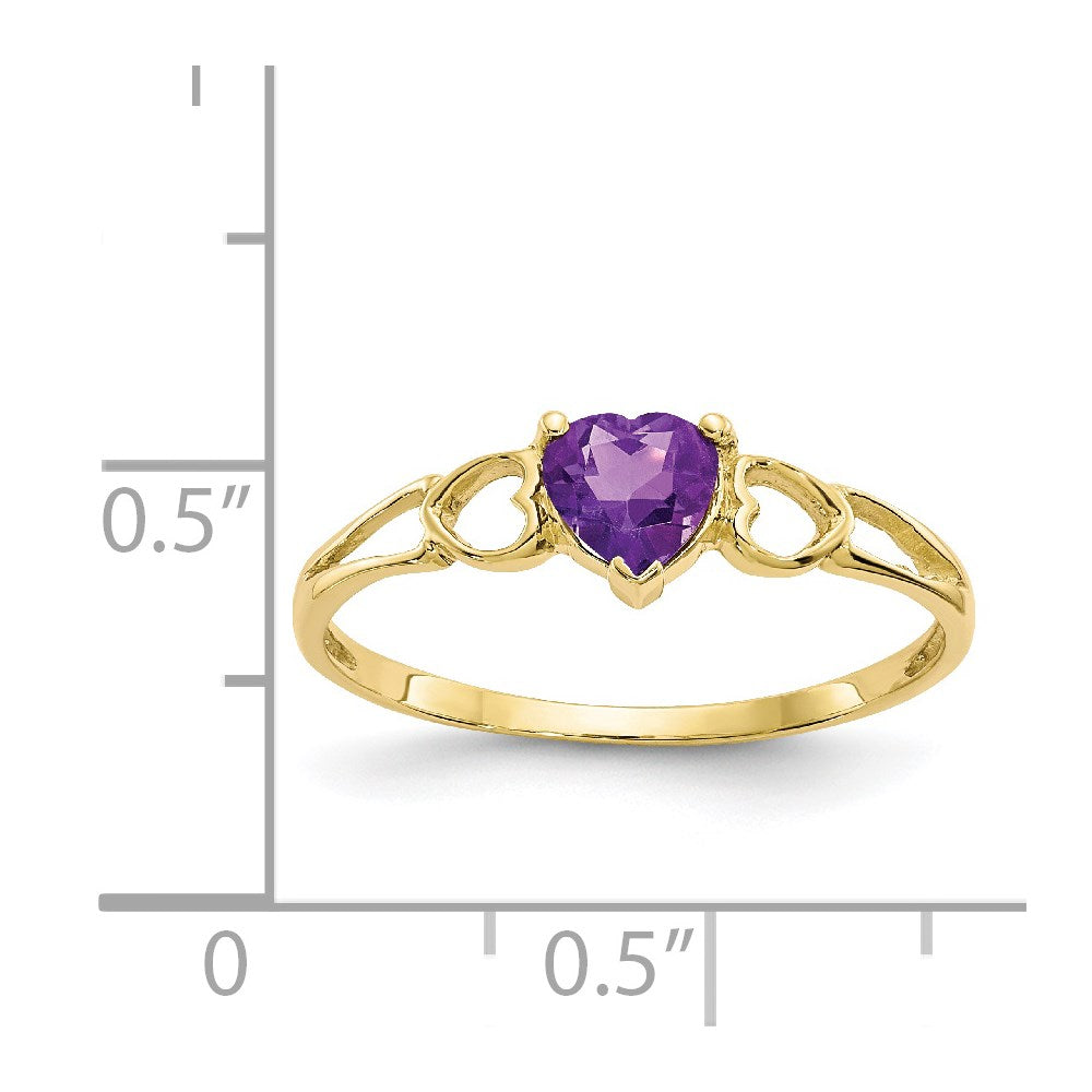 10K Yellow Gold Polished Genuine Amethyst Birthstone Ring
