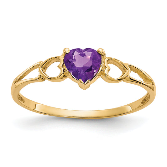 10K Yellow Gold Polished Genuine Amethyst Birthstone Ring