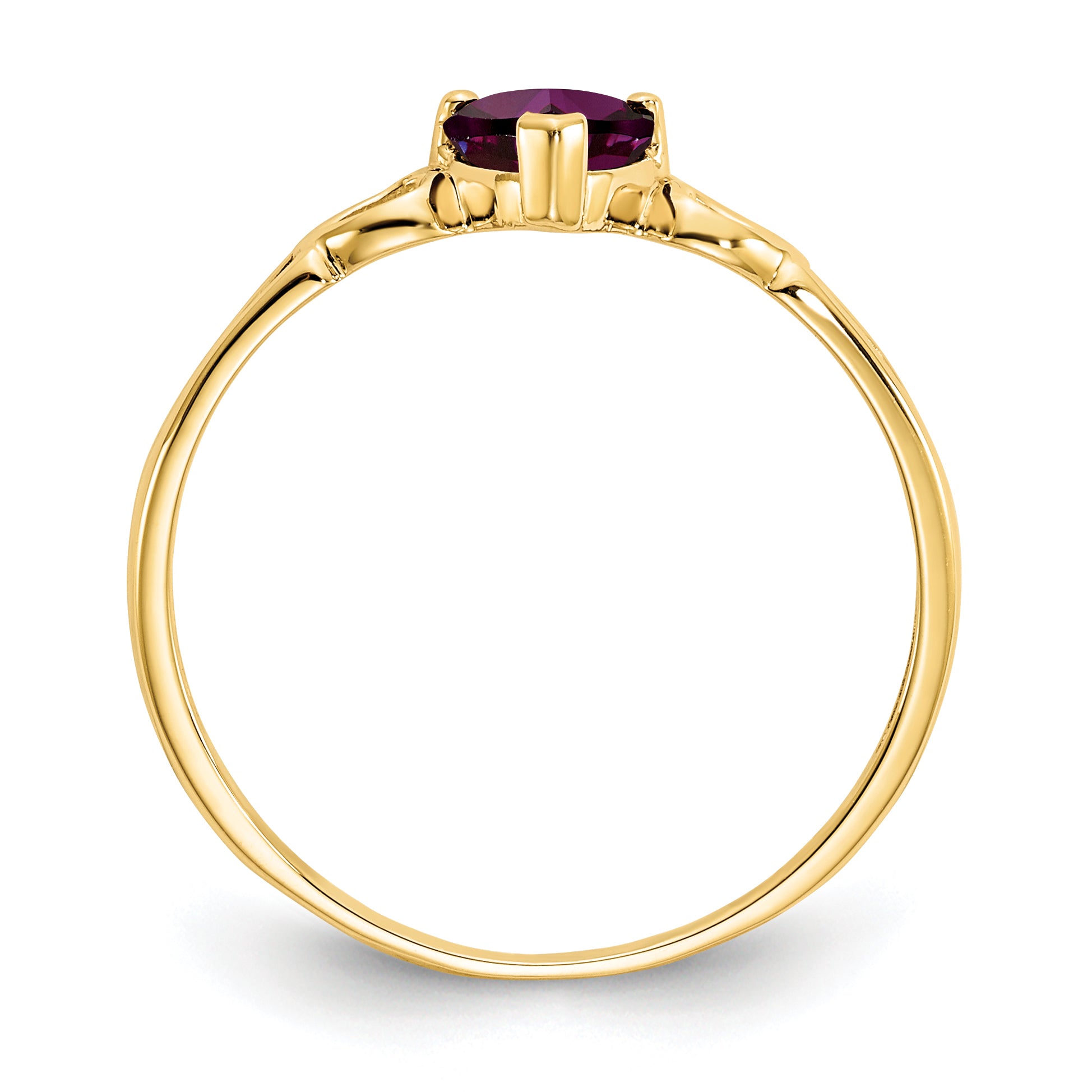 10K Yellow Gold Polished Genuine Rhodolite Garnet Birthstone Ring