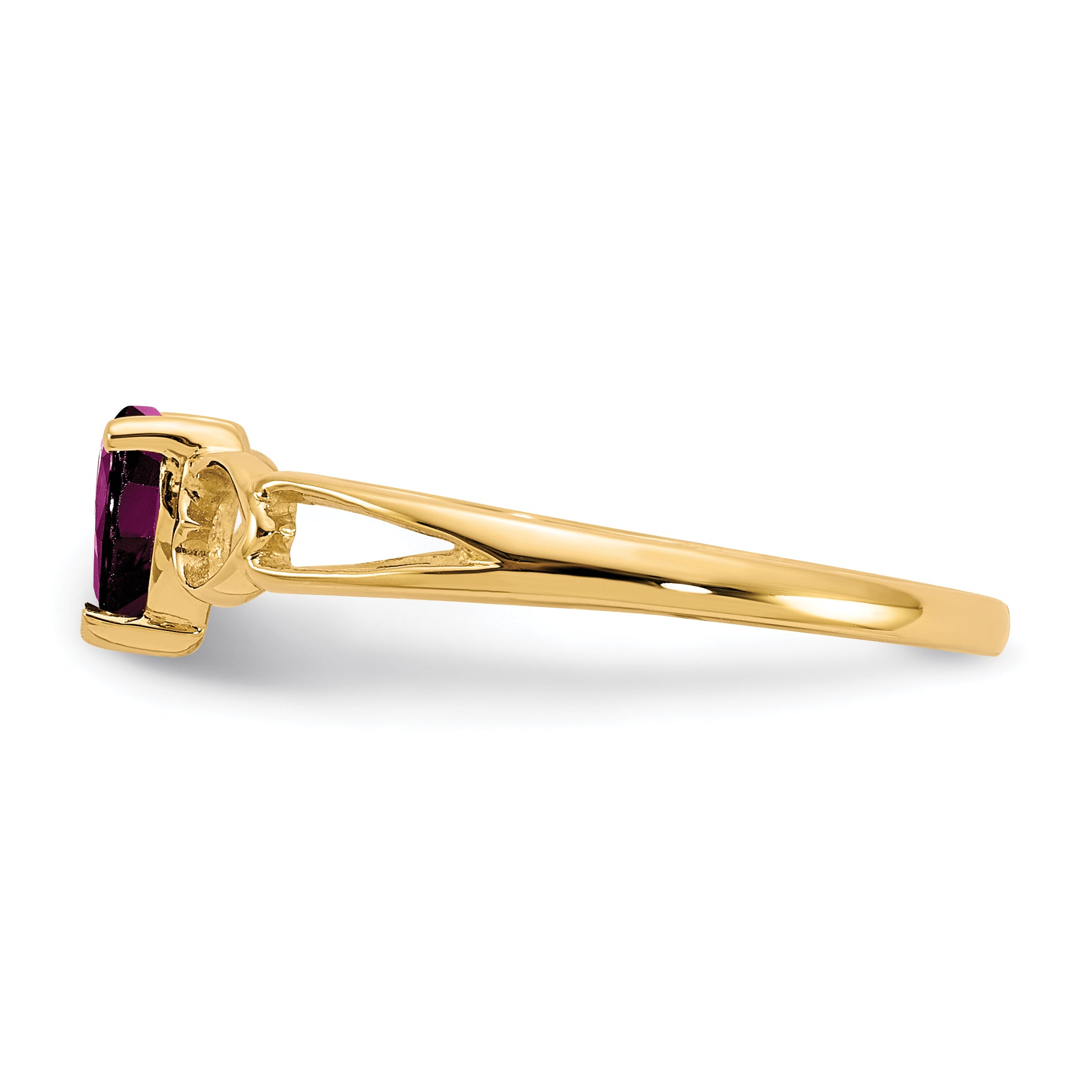 10K Yellow Gold Polished Genuine Rhodolite Garnet Birthstone Ring