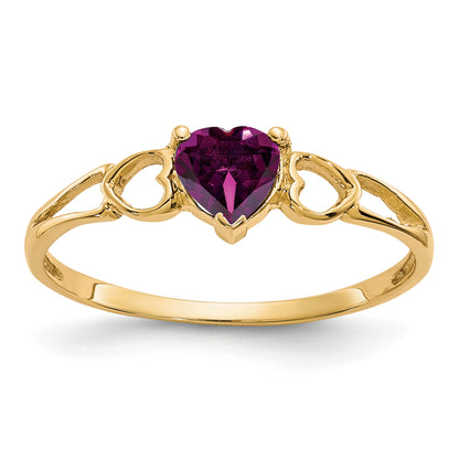 10K Yellow Gold Polished Genuine Rhodolite Garnet Birthstone Ring