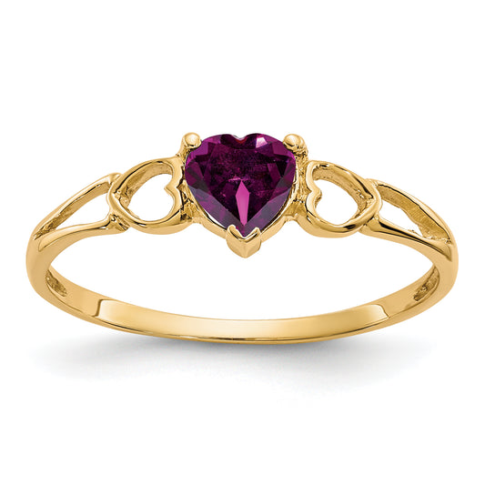 10K Yellow Gold Polished Genuine Rhodolite Garnet Birthstone Ring