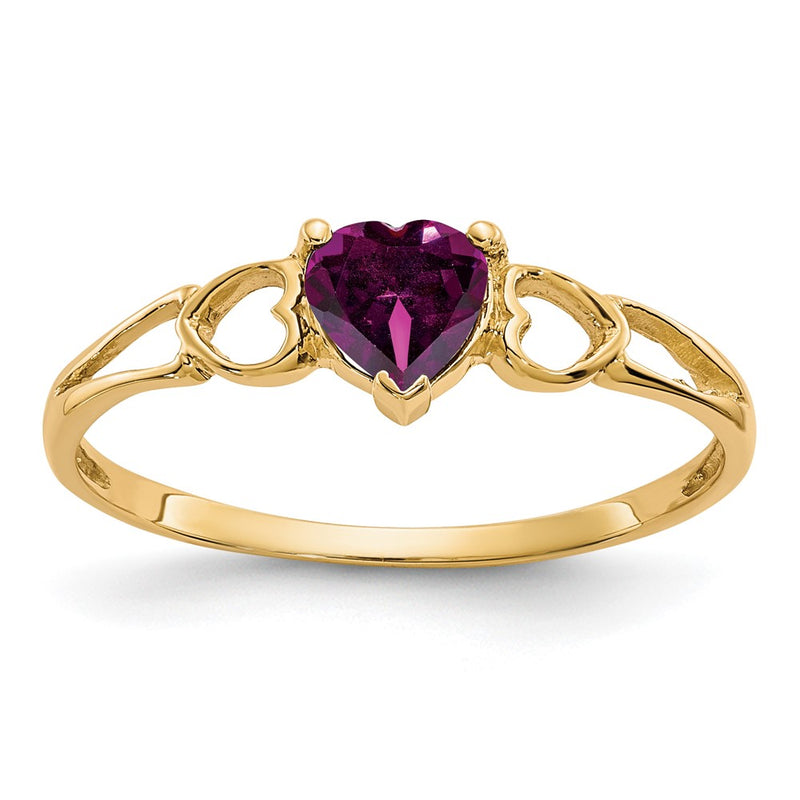 10K Yellow Gold Polished Genuine Rhodolite Garnet Birthstone Ring