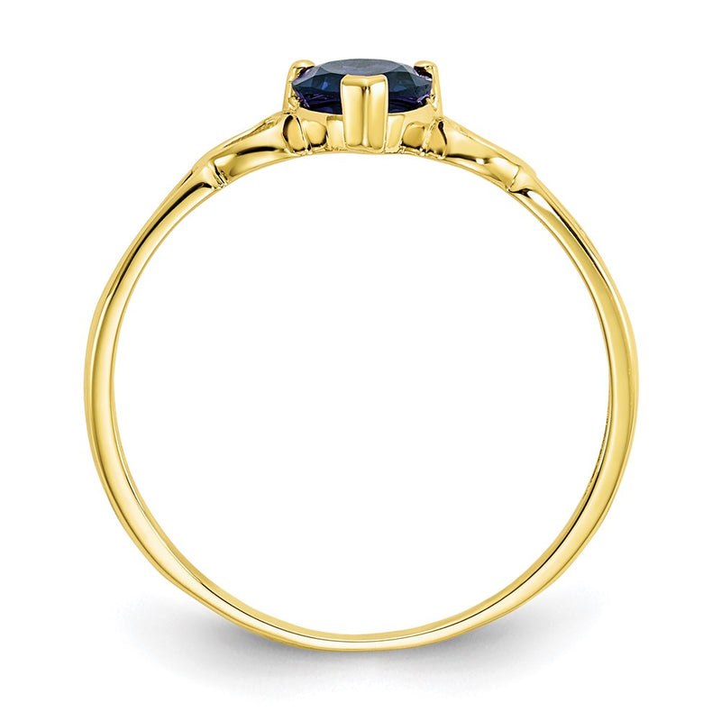 10K Yellow Gold Polished Genuine Sapphire Birthstone Ring