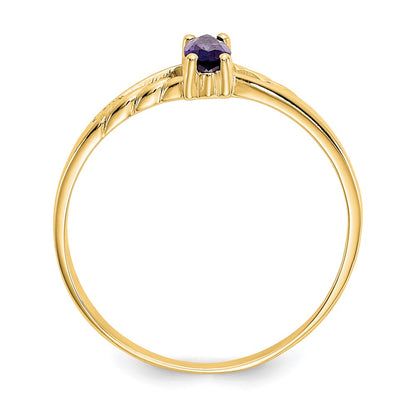 10K Yellow Gold Polished Genuine Amethyst Birthstone Ring