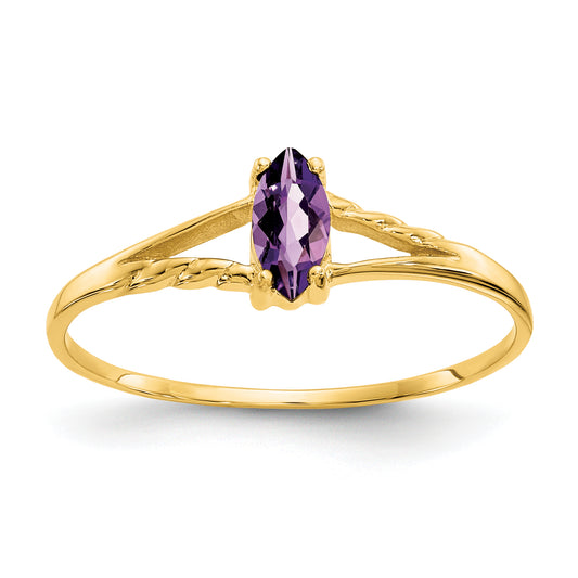 10K Yellow Gold Polished Genuine Amethyst Birthstone Ring
