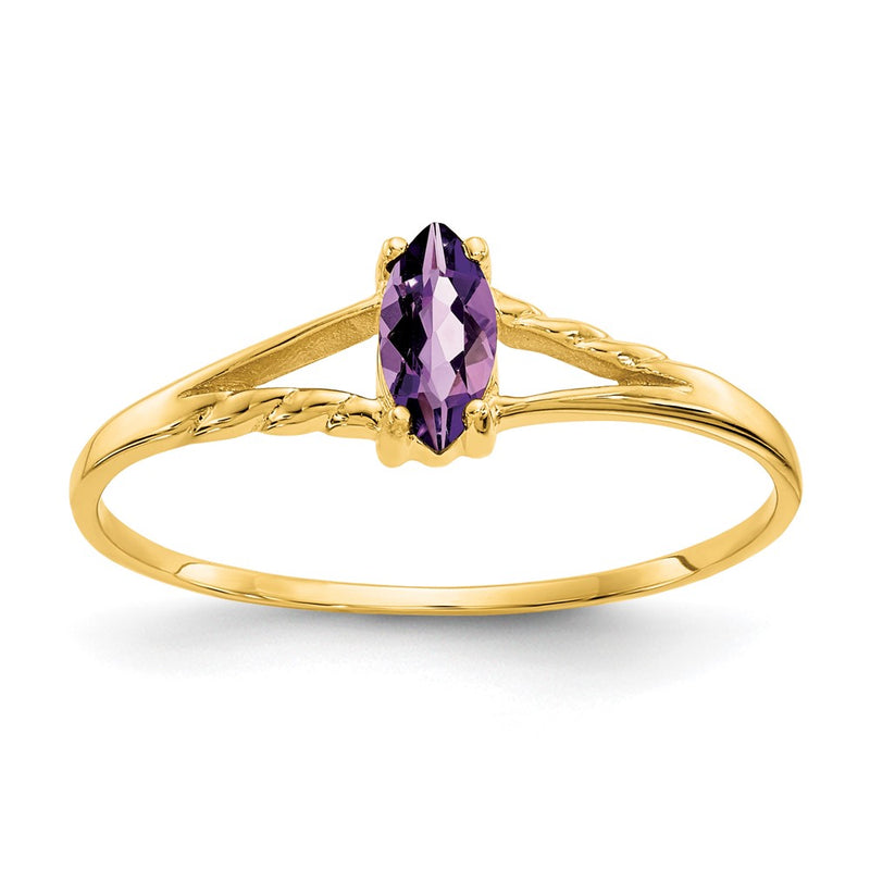 10K Yellow Gold Polished Genuine Amethyst Birthstone Ring