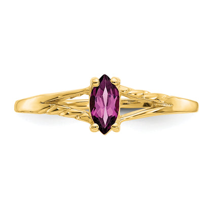 10K Yellow Gold Polished Genuine Rhodolite Garnet Birthstone Ring