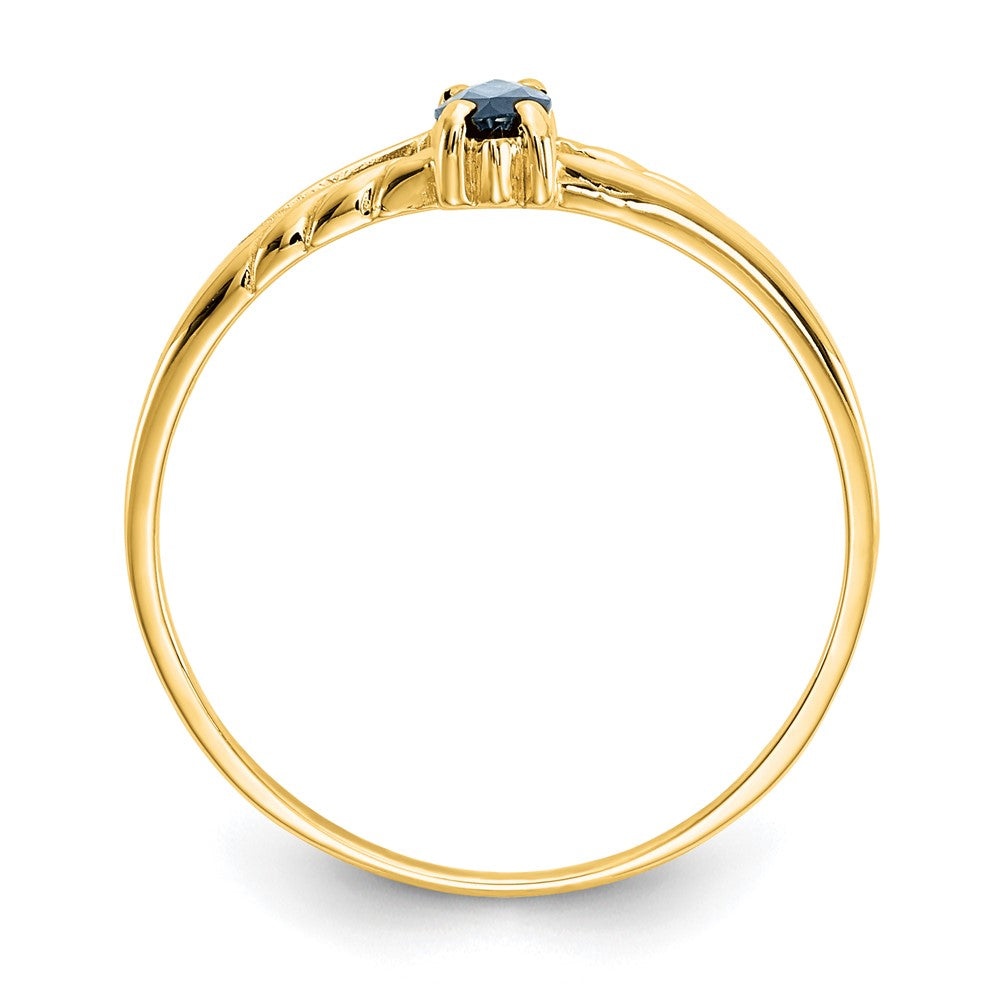 10K Yellow Gold Polished Genuine Sapphire Birthstone Ring