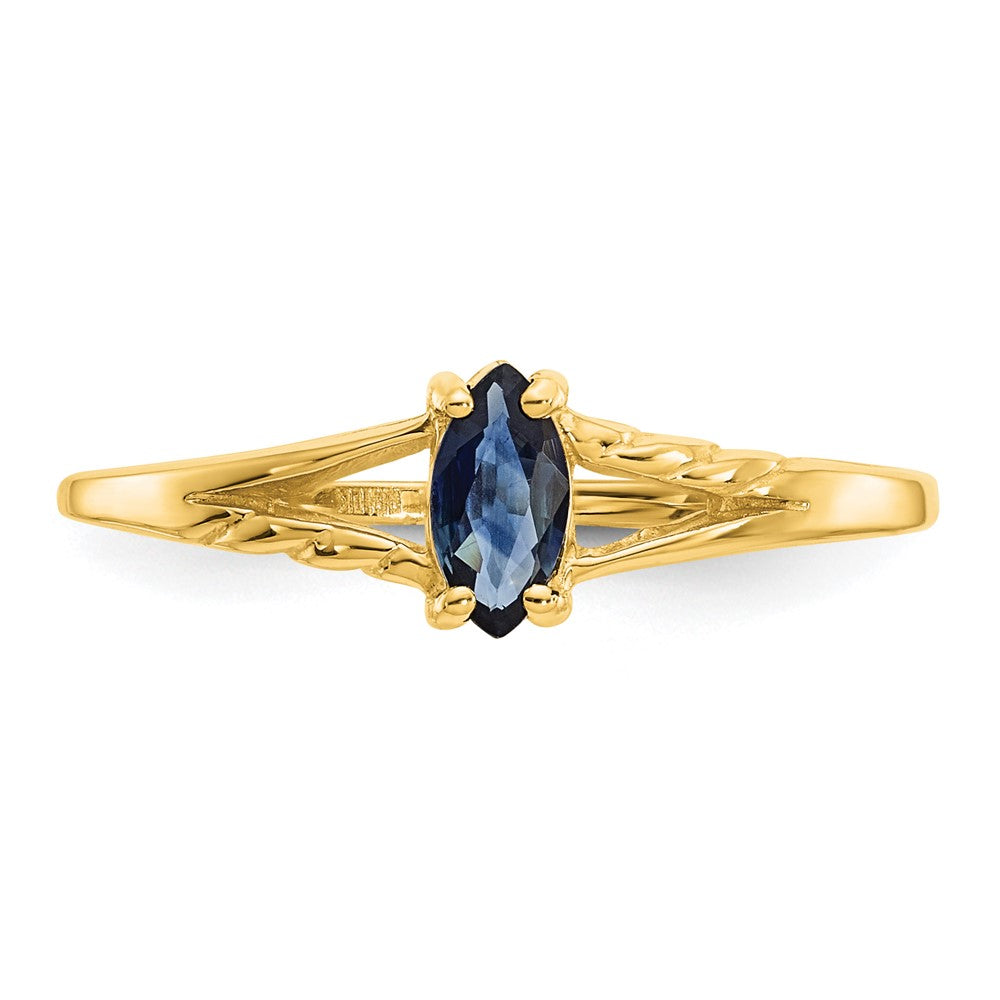 10K Yellow Gold Polished Genuine Sapphire Birthstone Ring