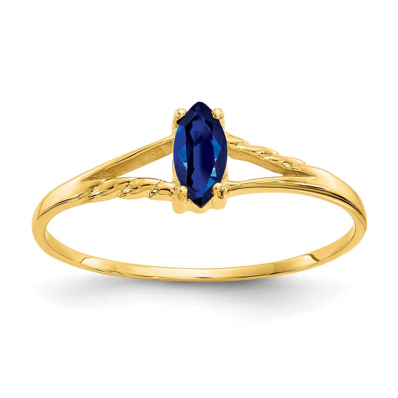 10K Yellow Gold Polished Genuine Sapphire Birthstone Ring