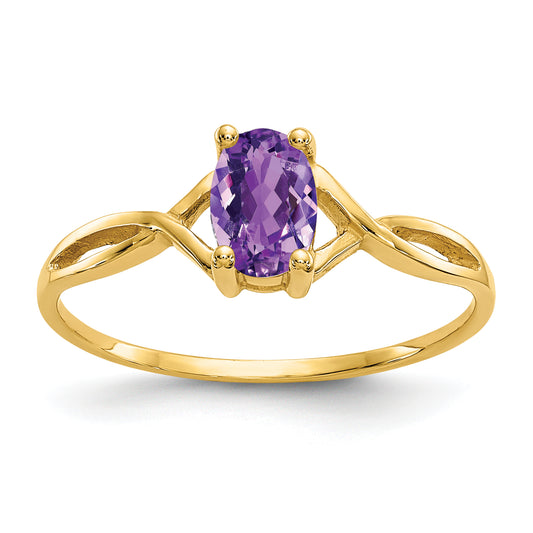 10K Yellow Gold Polished Genuine Amethyst Birthstone Ring